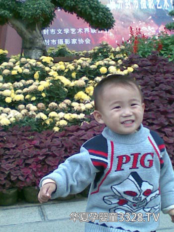 �²̌�����ɭ���ڋ�֮�ܵĳ��L�v��