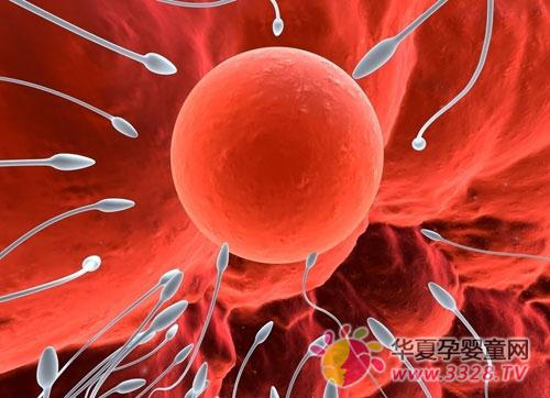 ���ӵ����P(gu��n)��B