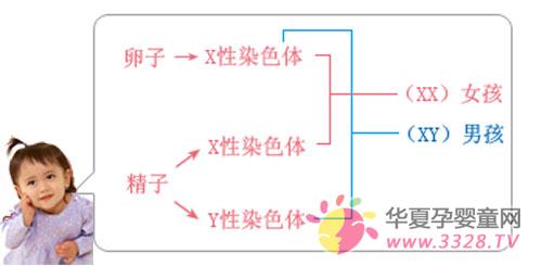 �����T���ܜyԇ���з���