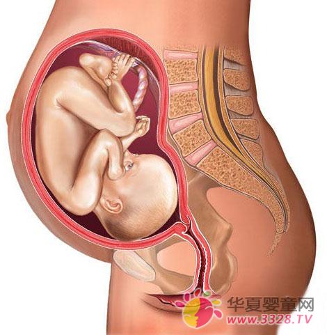 ̥�����ӌm��(n��i)�ĵڰ˂�(g��)�µİl(f��)����r