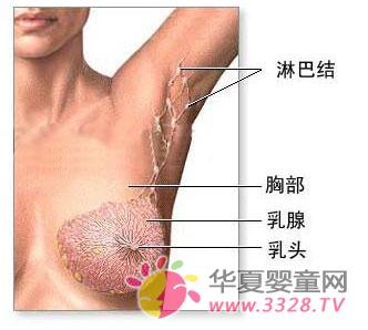 �鷿��(n��i)���[�K��̎������