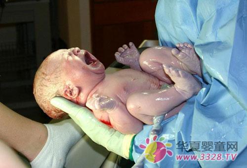 ��������������ԭ��