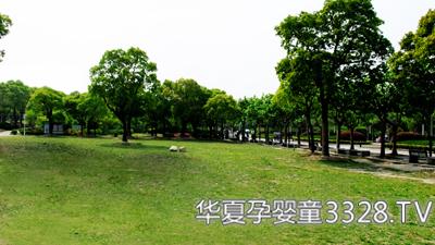 �����e�С��P(gu��n)�۵��� ���o(h��)�h(hu��n)�������͹��泫��(d��o)���