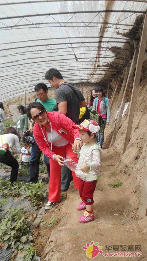 �ۘ���{��������һ��ݮ��ժ���(d��ng)���