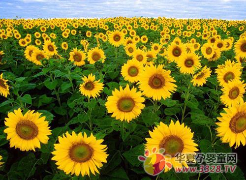 Ů�ˑ������g��Щʳ�ﲻ�ܳ���