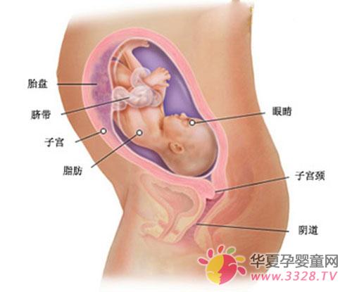 ���а˂�(g��)��Ů̥���D