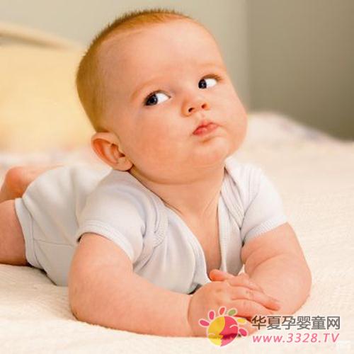 �o������һ��ι�oʳ��(y��ng)ԓιʲô