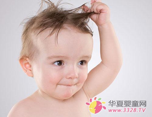 �S����AD���x�������ҁ�֧��