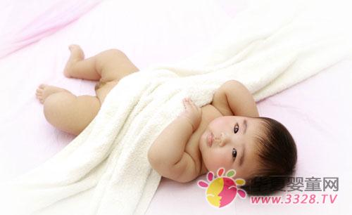 �o�������oʳ������
