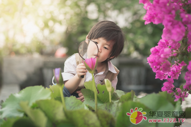  ���W(xu��)�ƌW(xu��)��������D���^�����캢�ӡ����w��ͯ��