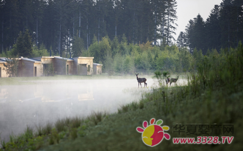 ̫ꖼ��cʯ�^���ȼ٘��@�� ���Ї�ʽ�ΌW(xu��)��ע����˼�S