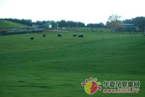 ȫ�������a(ch��n)�I(y��)��N(xi��o)�������B�m(x��)����ͻ��ǧ�|��(j��)���P(gu��n)