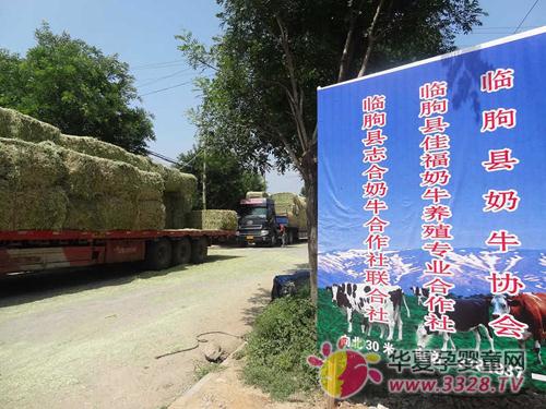 �R�Կh־����ţ���������M��(y��u)�|(zh��)��ޣ�����