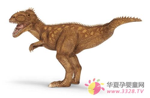 2012�����D�����[��(hu��)˼��(l��)��(d��ng)��С��ʿ